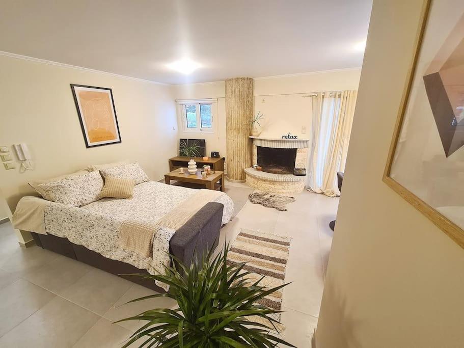 Filoxenia Luxury Home パトラ エクステリア 写真